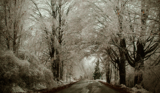 photo: LadyDragonflyCC, Creative Commons