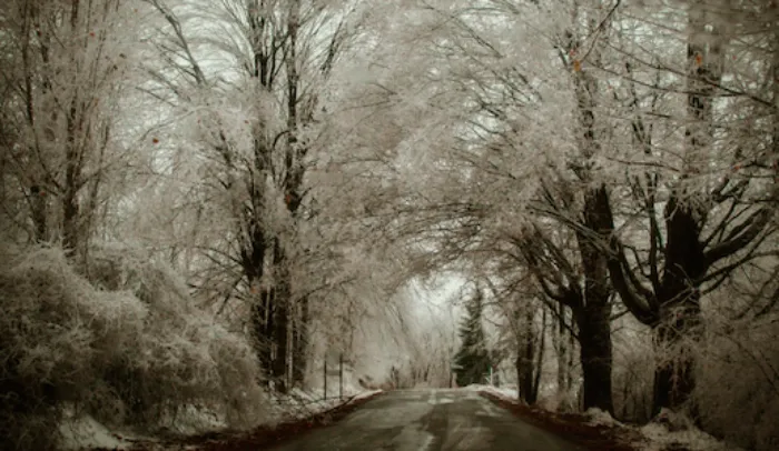 photo: LadyDragonflyCC, Creative Commons